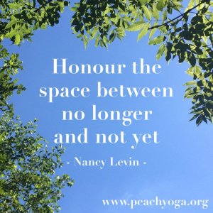 Quote against blue sky framed by green leaves: Honour the space between the no longer and not yet. -Nancy Levin, www.peachyoga.org