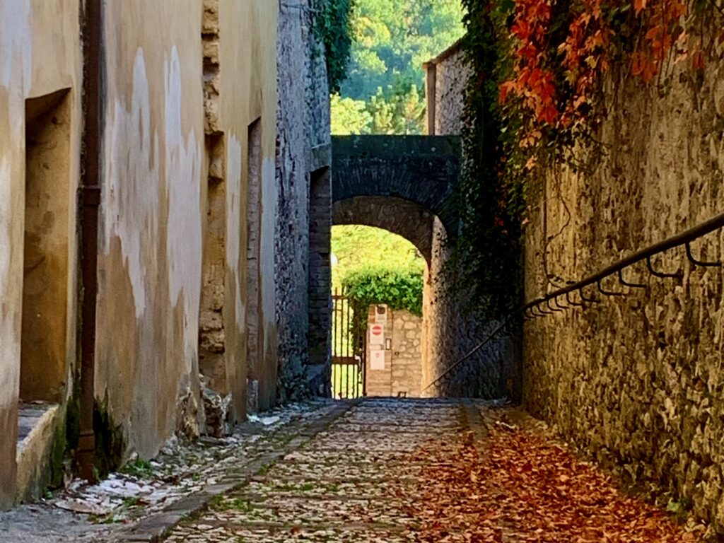 Fall leaves cover path through arch leading to the in-between